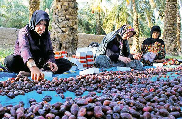 ساوه شهره به انار است و بم به رطبش (+تصاویر) ساوه شهره به انار است و بم به رطبش (+تصاویر)