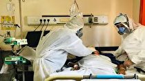 کرونا جان ۱۸ کرمانشاهی دیگر را گرفت! /گذر از قله پیک ، تلفات جانی همچنان زیاد