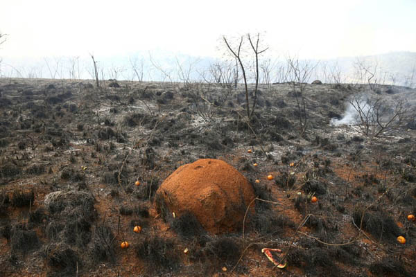لحظات برگزیده اخیر در سراسر جهان (گزارش تصویری)