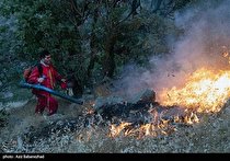 منطقه حفاظت شده سفیدکوه خرمآباد طعمه حریق شد