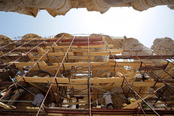 حیوانی که آنتی بادی کرونا دارد (گزارش تصویری)