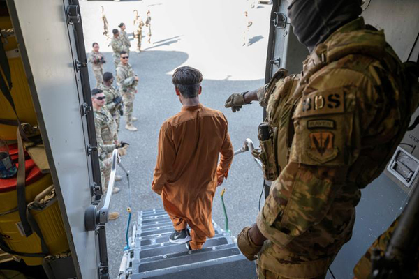 حیوانی که آنتی بادی کرونا دارد (گزارش تصویری)