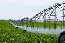 افتتاح 5 طرح کشاورزی در شهرستان کرمان در هفته دولت 
 