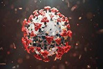 آنتی بادی‌ ها در برابر گونه‌های جدید کرونا مقاوم هستند