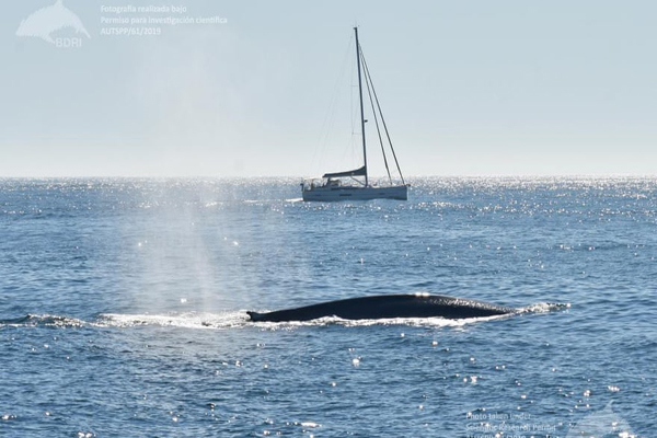 برگزیده های حیات وحش جهان در هفته اخیر (گزارش تصویری)