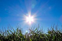 پرتوهای خورشید خطر زایمان زودرس را کاهش می‌دهد