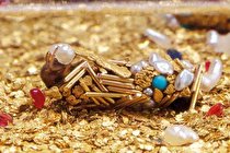 خانه‌ سازهای حرفه‌ ای در طبیعت (+عکس)