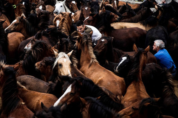 تظاهرات علیه واکسن کرونا  (گزارش تصویری)