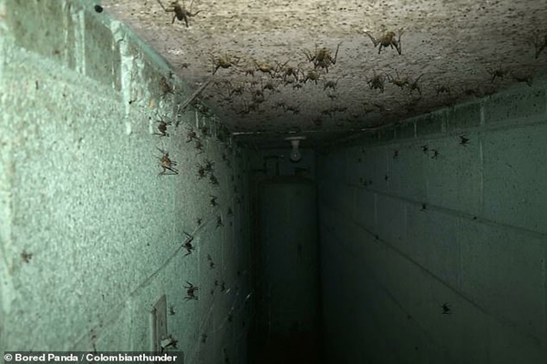 عکس های ترسناکی که مردم به طور اتفاقی گرفته اند!  (گزارش تصویری)