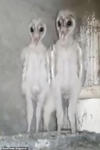 عکس های ترسناکی که مردم به طور اتفاقی گرفته اند!  (گزارش تصویری)