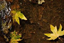 خورشید به اعتدال پاییزی می رسد