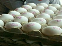 یک تخم‌مرغ برابر با ۳۰ گرم گوشت