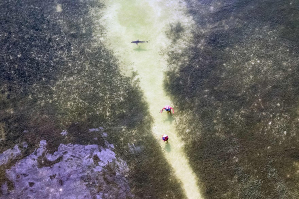 مرور آنچه سراسر جهان می گذرد (گزارش تصویری)