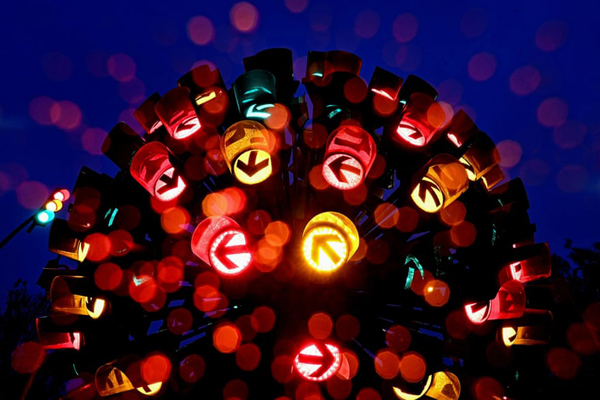 لاکپشت 2 سر /  روز جهانی مردگان! (گزارش تصویری)