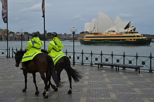 لاکپشت 2 سر /  روز جهانی مردگان! (گزارش تصویری)