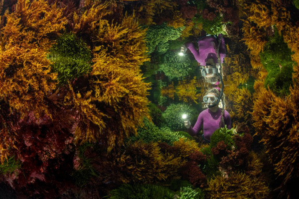 برندگان حیات وحش در سال 2021 (گزارش تصویری)