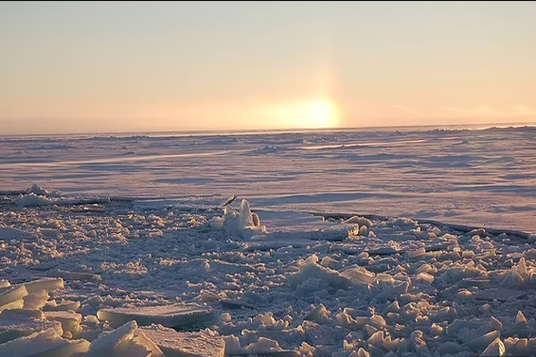 لحظات مهم شبانه روز اخیر (گزارش تصویری) لحظات مهم شبانه روز اخیر (گزارش تصویری)