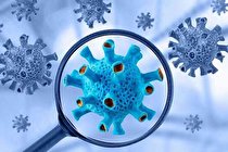 شناسایی آنتی بادی خنثی کننده سویه های مختلف کرونا