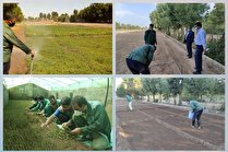 کاشت بیش از یک میلیون و 500 هزار نهال فصلی در پارک‌های شهرکرمان