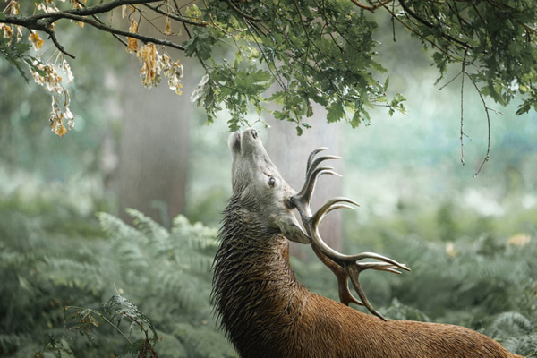 لحظات خبری و غیرخبری دردور دنیا (گزارش تصویری) لحظات خبری و غیرخبری دردور دنیا (گزارش تصویری)