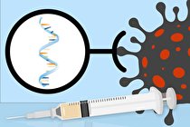 واکسن DNA بهتر است یا واکسن mRNA ؟