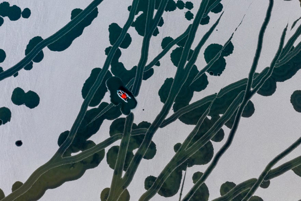 برگزیده های مسابقه عکاسی با موضوع «آب و هوا» در سال 2021 (گزارش تصویری) برگزیده های مسابقه عکاسی با موضوع «آب و هوا» در سال 2021 (گزارش تصویری)