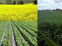 آغاز کشت های پائیزه در شهرستان بهار