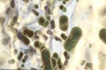 کرونا چگونه به درمان سایر بیماری های کمک می کند؟