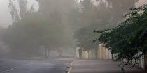 وزش باد و گرد و خاک برای هفته پیش رو در کرمانشاه