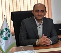 خرس قهوه‌ای فیروزکوه با شلیک از فاصله نزدیک کشته شده‌است