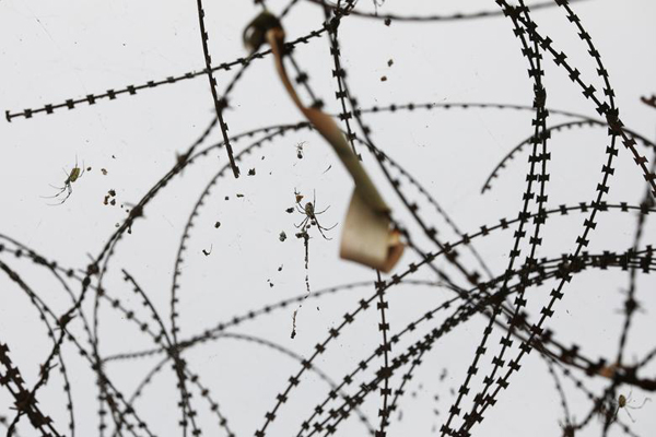 لحظات برگزیده در سراسر جهان (گزارش تصویری) لحظات برگزیده در سراسر جهان (گزارش تصویری)