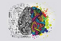 ۸ افسانه عامه‌پسند درباره مغز