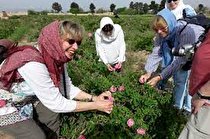 گردشگری کشاورزی به عنوان یکی از جذابیت‌های جدید مورد توجه است