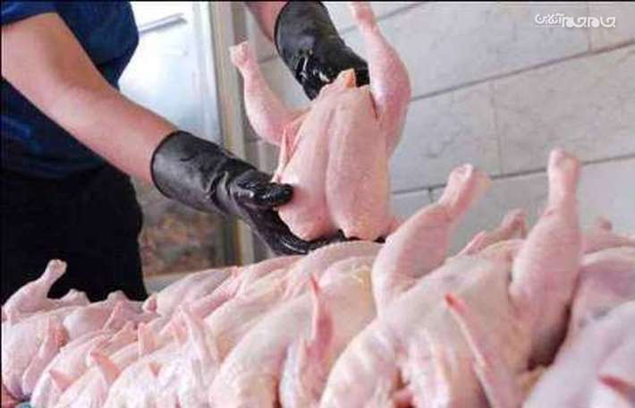 شرکت پروتئین عرضه‌کننده خارج از شبکه توزیع مرغ در اردبیل به پرداخت ۴۲ میلیارد ریال جزای نقدی در حق دولت محکوم شد.