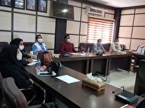 برگزاری کارگاه آموزشی مداخله در بحران خودکشی در جیرفت