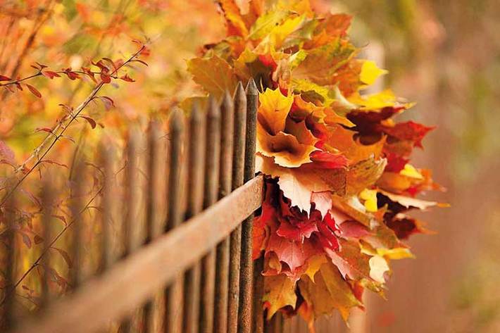 پاییز زیباست و عاشق و دلباخته بسیار دارد. نمایش هزار رنگ و باشکوه پاییز موردعلاقه خیلی‌هاست. آنها شیفته رنگ‌های قرمز، قهوه‌ای، نارنجی و طلایی پاییز هستند.
