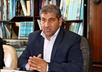 آغاز برداشت طلای سرخ از مزارع استان کرمان 