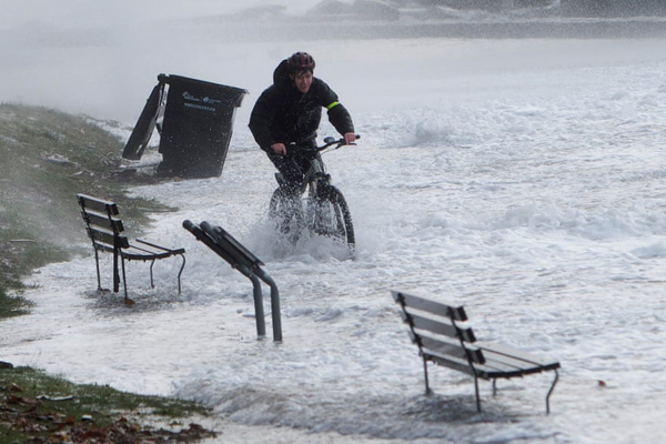 تابلوی 47 میلیون دلاری مریلین مونرو / رکورد کشیدن ماشین(گزارش تصویری)