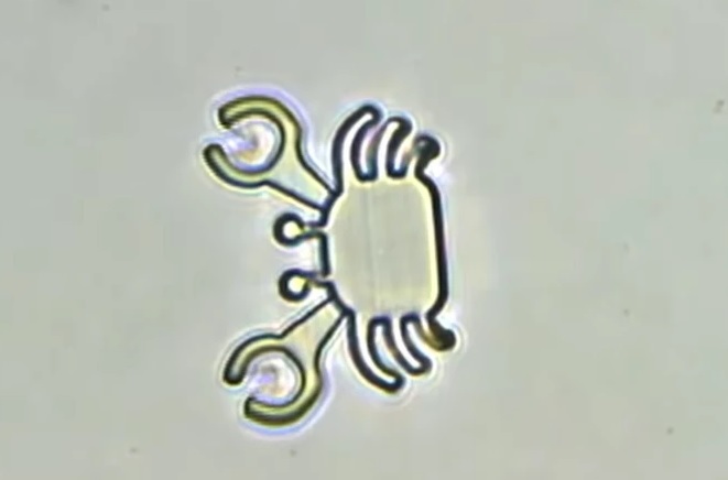 ماهی میکروربات در بدن شنا می‌کند تا دارو را به سلول‌های سرطانی برساند