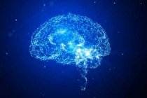 وزن کم هنگام تولد بر تسریع روند پیری مغز در آینده تاثیر می گذارد