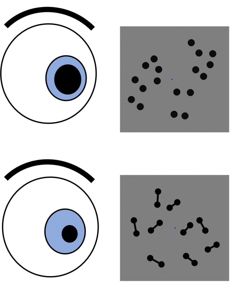 اندازه مردمک چشم بر حسب تعداد اشیایی که به آن‌ها نگاه می‌کنید تغییر می‌کند