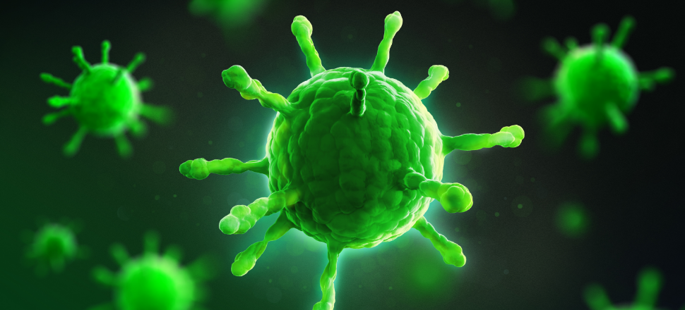 قالیشویی پاک مهر در روزهای کرونایی: