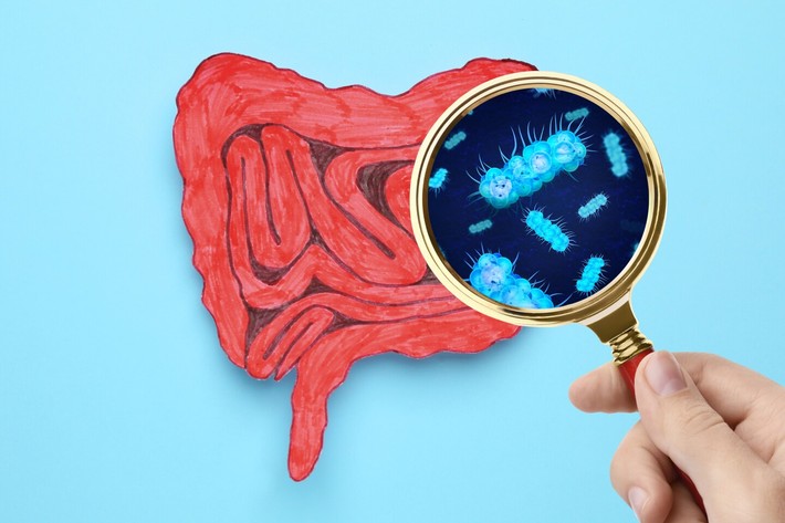 آزمایش انسانی نشان می‌دهد که افزودنی‌های رایج غذایی میکروبیوم روده را تغییر می‌دهد