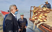 بازدید سرزده استاندار از پره‌های صیادی در انزلی|حمایت از اقتصاد دریامحور و توسعه شیلات