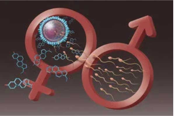 واكسن كرونا قابليت بارورى را كاهش نمى دهد