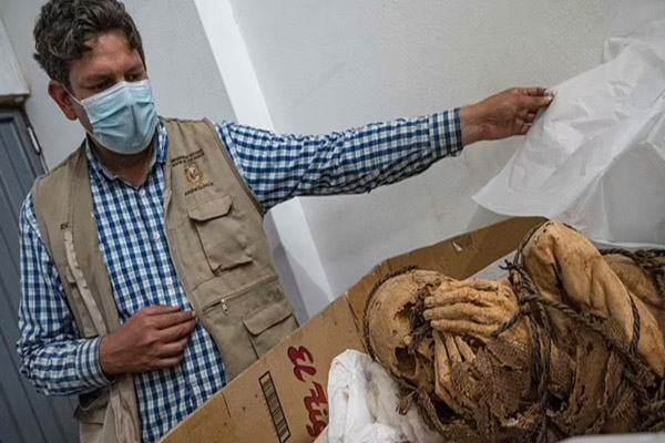 جسد وحشتناک یک مومیایی (+عکس و فیلم) جسد وحشتناک یک مومیایی (+عکس و فیلم)