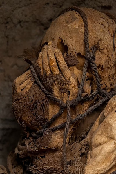 جسد وحشتناک یک مومیایی (+عکس و فیلم) جسد وحشتناک یک مومیایی (+عکس و فیلم)