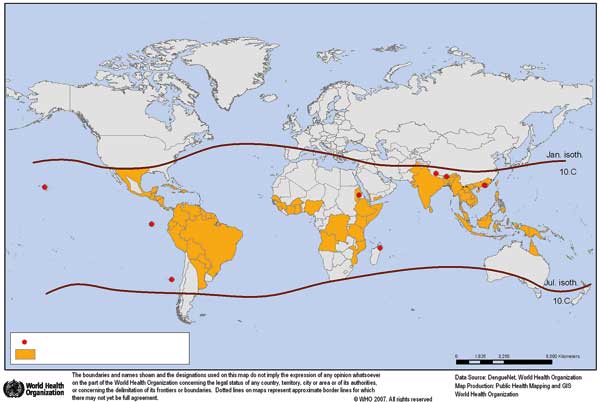 تب استخوان‌ شکن سوغات پشه آئدس
