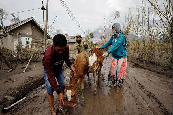لحظات مهم خبری و غیرخبری در شبانه روز اخیر (گزارش تصویری)
