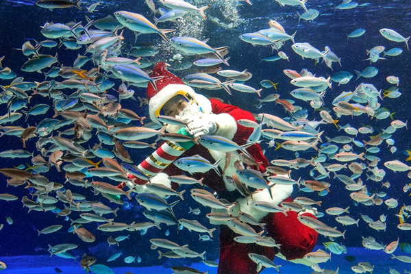 لحظات مهم خبری و غیرخبری در شبانه روز اخیر (گزارش تصویری)